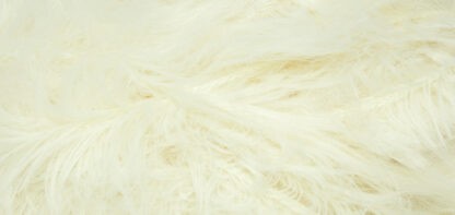 LINIE 332 FUR (Farbe 0001)