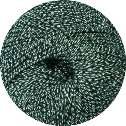 LINIE 485 CORVO (Farbe 0005)