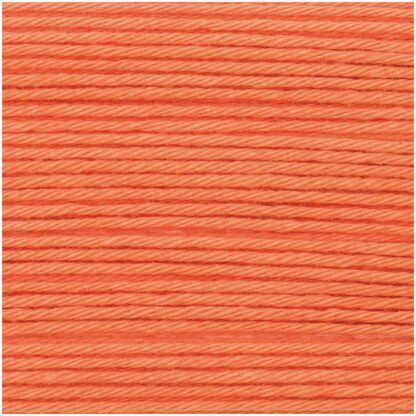 C RICORUMI DK SMOKEY ORANGE Fb. 024