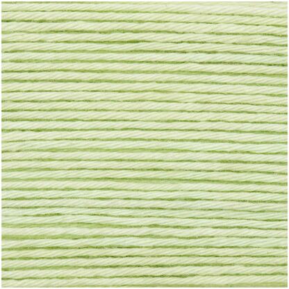 C RICORUMI DK PASTELLGRUEN Fb. 045