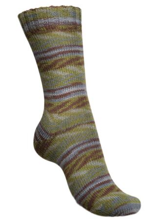 Regia Cosy Times pine cones color (02446)