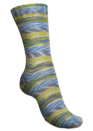 Regia Cosy Times ginger tea color (02448)