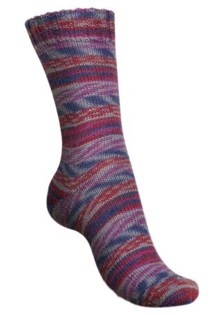 Regia Cosy Times winter sunset color (02449)