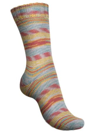 Regia Cosy Times winter flowers color (02452)