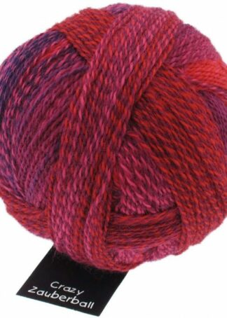 Zauberball Stärke 6 | 2095_ Indisch