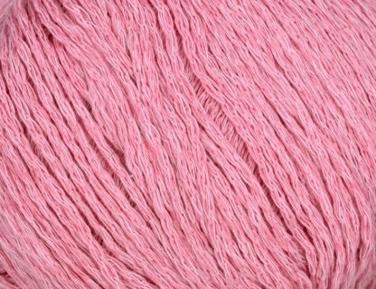 Linie 513 Vega | Farbe 0003