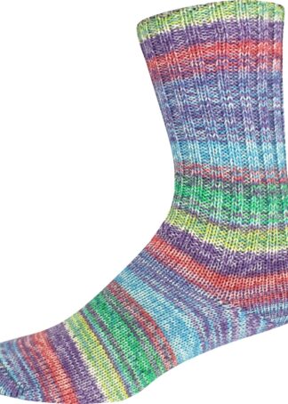 SUPERSOCKE 100 SORT.354 MERINO-EXTRAFEIN COLOR - Farbe 2952