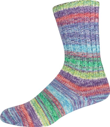 SUPERSOCKE 100 SORT.354 MERINO-EXTRAFEIN COLOR - Farbe 2952