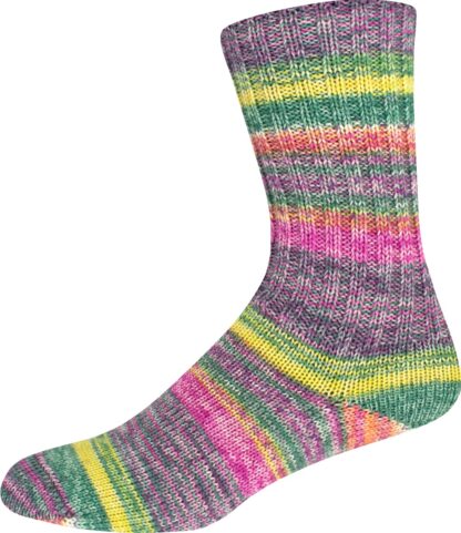 SUPERSOCKE 100 SORT.354 MERINO-EXTRAFEIN COLOR - Farbe 2954