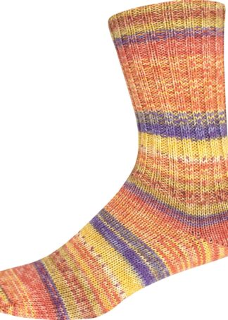 SUPERSOCKE 100 SORT.354 MERINO-EXTRAFEIN COLOR - Farbe 2956