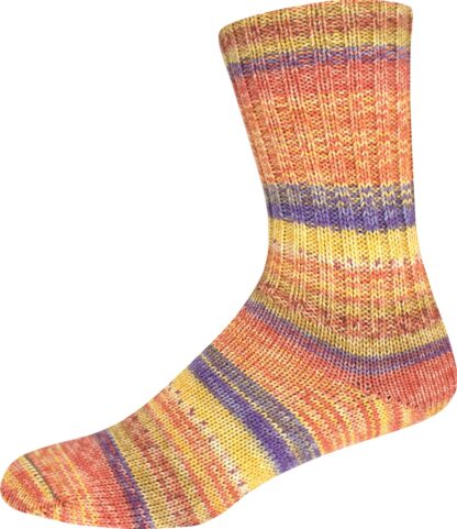 SUPERSOCKE 100 SORT.354 MERINO-EXTRAFEIN COLOR - Farbe 2956
