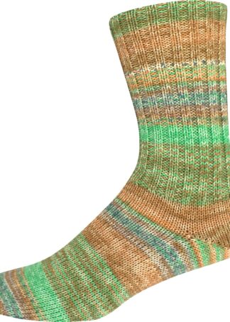 SUPERSOCKE 100 SORT.354 MERINO-EXTRAFEIN COLOR - Farbe 2957