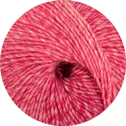 LINIE 359 FANO (Farbe 0127)