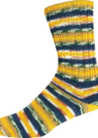Supersocke 100 Sort. 357 Merino-Extrafein Color / Farbe 2979