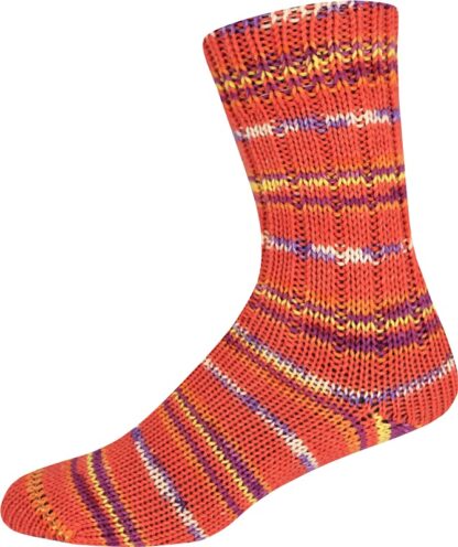 Supersocke 6-fach Sort. 368 Merino-Color Farbe 3050