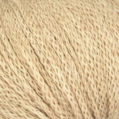 Linie 551 Solora | Farbe 0002