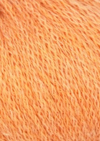 Linie 551 Solora | Farbe 0003