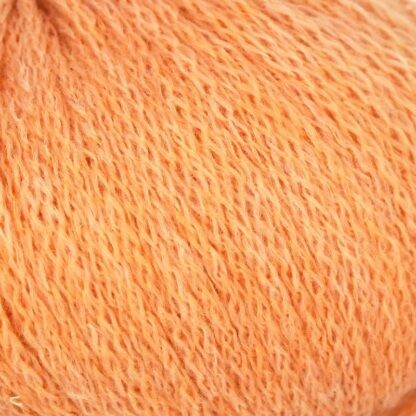 Linie 551 Solora | Farbe 0003