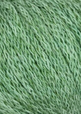 Linie 551 Solora | Farbe 0006