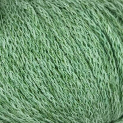 Linie 551 Solora | Farbe 0006