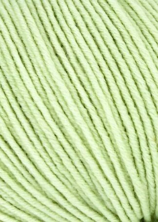 LINIE 110 TIMONA  Farbe 0257 | ONline