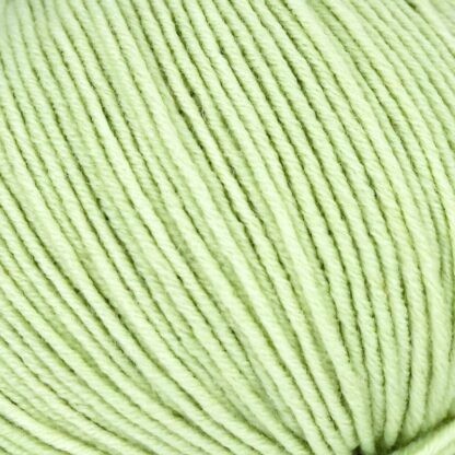 LINIE 110 TIMONA  Farbe 0257 | ONline