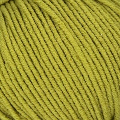 LINIE 20 CORA  Farbe 0570 | ONline