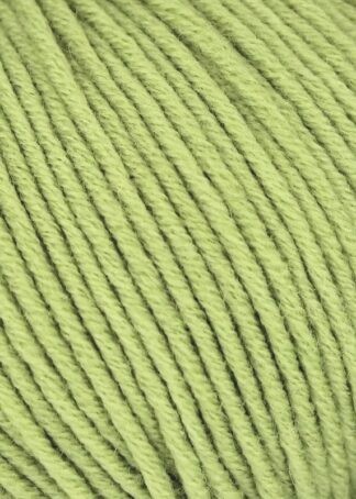 LINIE 20 CORA  Farbe 0572 | ONline