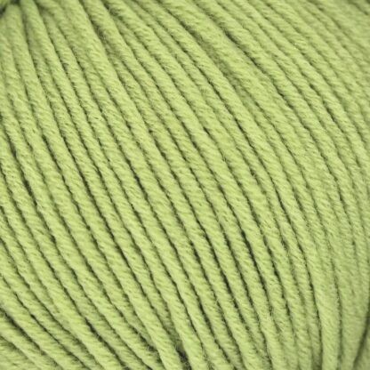 LINIE 20 CORA  Farbe 0572 | ONline